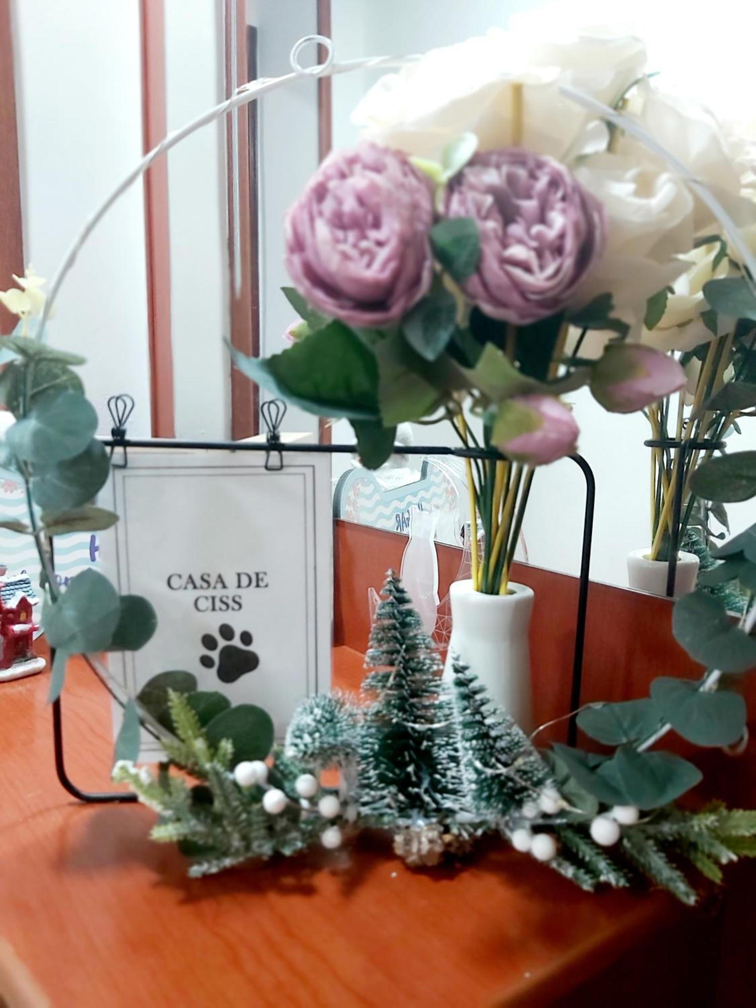 Casa De Ciss Accommodatie bij particulieren *